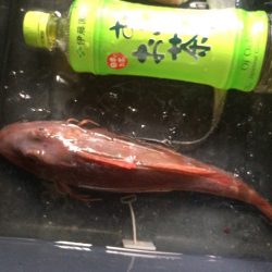 焼津沖